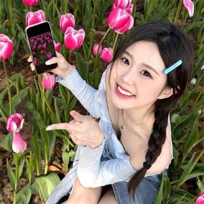 黑眉蚊